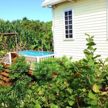 Hidden Gem Cabana Caye Caulker Εξωτερικό φωτογραφία